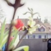 Loblied auf das Leben oder Sieg über den Tod