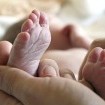 Frauen und SEK gegen Fortpflanzungsgesetz