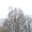 Wenn der Schnee ans Fenster fällt, lang die Abendglocke läutet