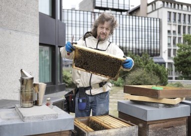 Endlich Seelenfrieden: Nach einem Burnout wechselte er vom stressigen Bau zu den fleissigen Bienen