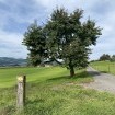 Kapellenweg im Seetal – Licht tanken für die dunkle Jahreszeit