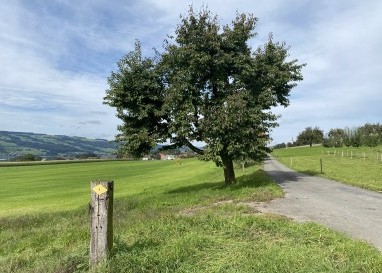 Kapellenweg im Seetal – Licht tanken für die dunkle Jahreszeit