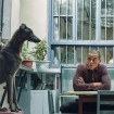 Von einer feinen Freundschaft in rauhem Umfeld: «Black Dog» vom Rand der Wüste in China