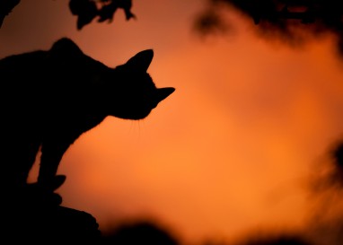 Auch Gespräche über Lebensthemen passen zu Halloween