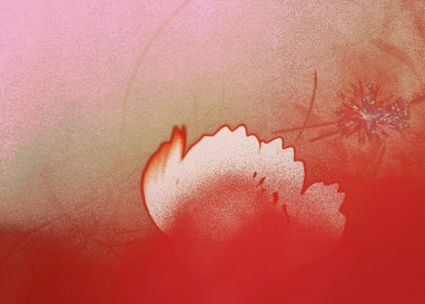 Rein selbstbezogen dürfe Mystik niemals sein, mahnt der Philosoph Luca Di Blasi