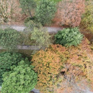  Von den Wegen des Lebens durch den Friedhof und Gedanken zum Ewigkeitssonntag