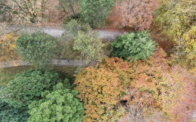  Von den Wegen des Lebens durch den Friedhof und Gedanken zum Ewigkeitssonntag