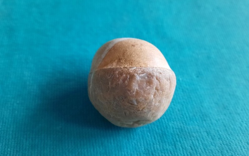 Adventskalender 2025 – Törchen 1: Ein Stein, fast wie von einer Eiche gefallen